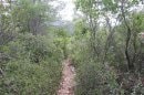 GR51, du Gros Cerveau à Ollioules